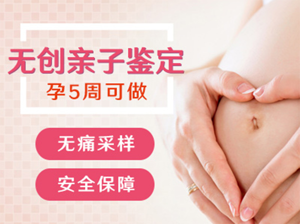 哈尔滨孕期亲子鉴定费用是多少,