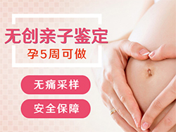 哈尔滨孕期亲子鉴定费用是多少【检测咨询】
