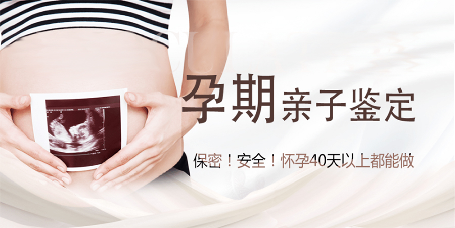 在哈尔滨怀孕几个月如何办理孕期亲子鉴定,哈尔滨做孕期亲子鉴定准不准确