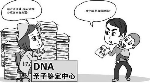 哈尔滨私密亲子鉴定需要的条件和材料有哪些,哈尔滨隐私亲子鉴定大概价格