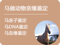 哈尔滨马做动物亲缘鉴定