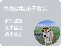 哈尔滨牛做动物亲子鉴定