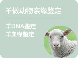 哈尔滨羊做动物亲缘鉴定